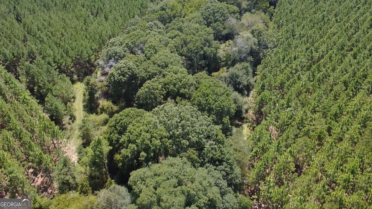 agriculture for sale at 0 Barentine Road, Rochelle, GA 31079 — photo 7