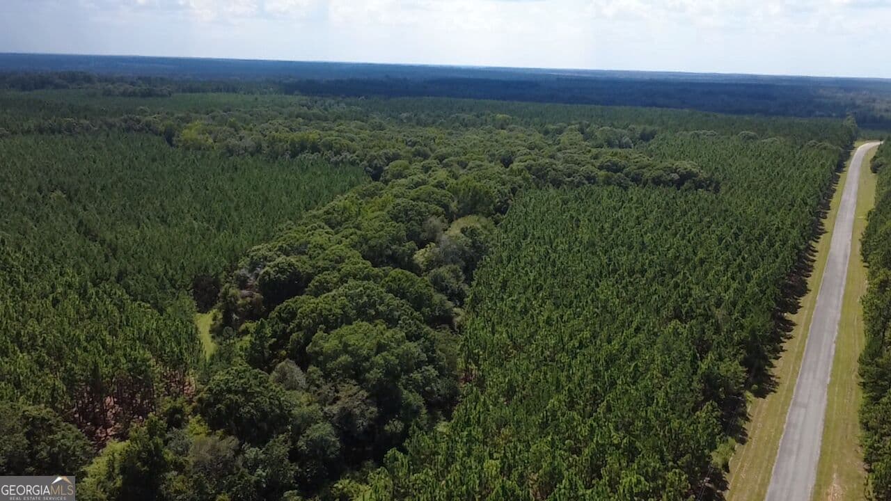 agriculture for sale at 0 Barentine Road, Rochelle, GA 31079 — photo 5