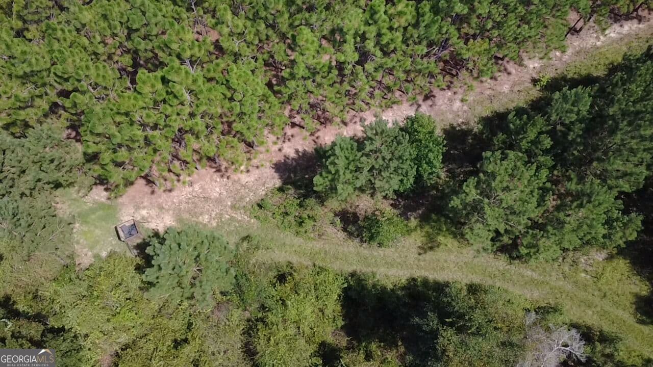 agriculture for sale at 0 Barentine Road, Rochelle, GA 31079 — photo 10