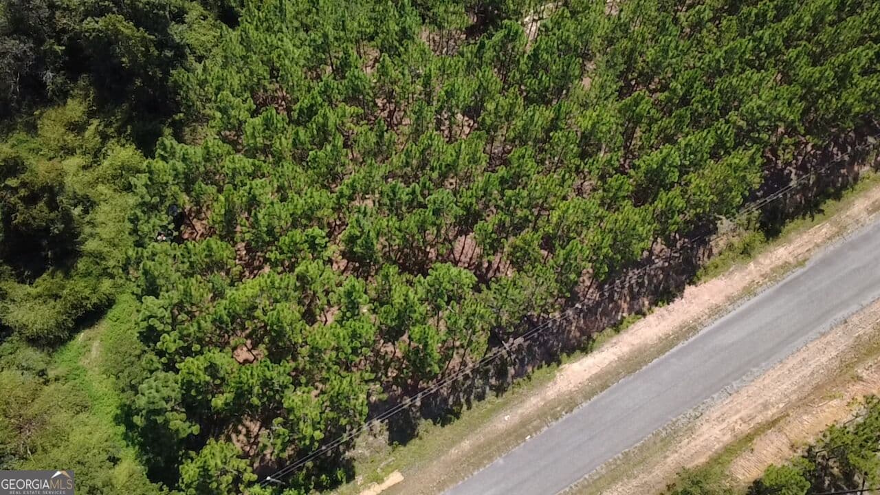 agriculture for sale at 0 Barentine Road, Rochelle, GA 31079 — photo 4
