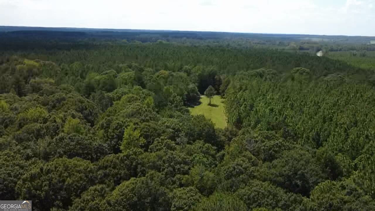 agriculture for sale at 0 Barentine Road, Rochelle, GA 31079 — photo 8