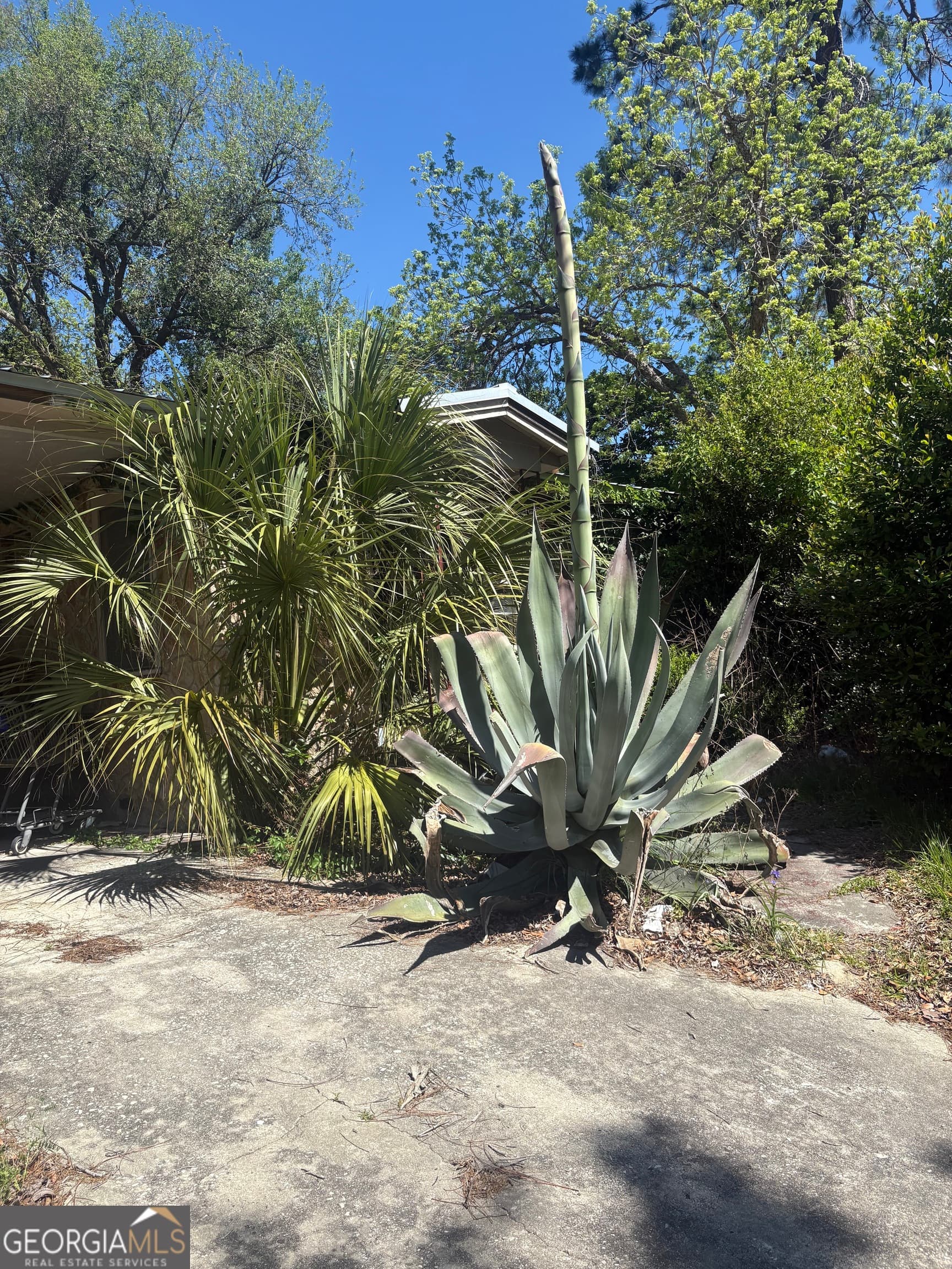 3 bedroom, 1 bathroom, 1,192 sq ft single family residence for sale at 524 Martin Luther King Drive, Waycross, GA 31501 — photo 3