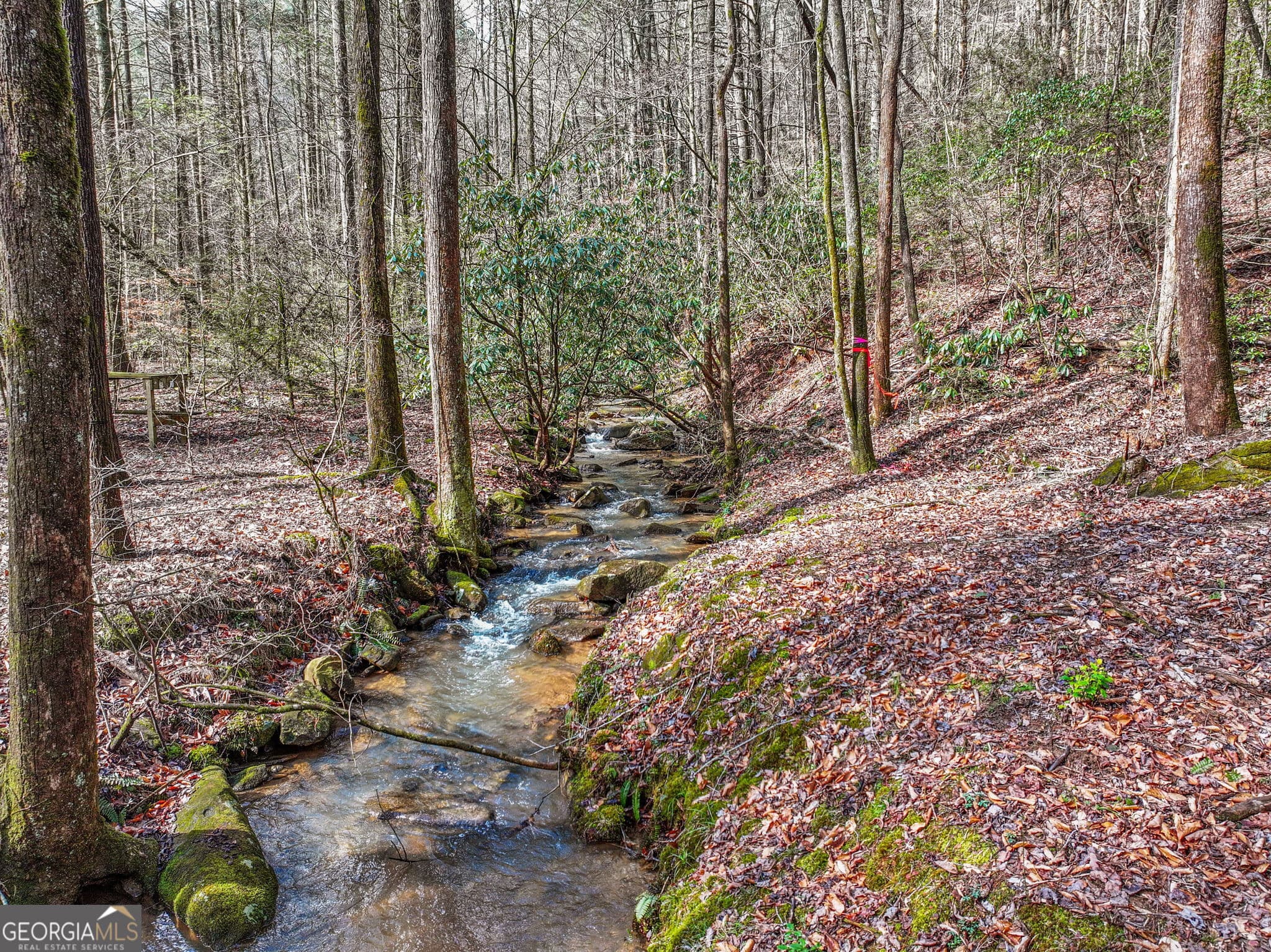 4 bedroom, 3 bathroom, 3,532 sq ft single family residence for sale at 641 Bryant Farm Lane, Ellijay, GA 30540 — photo 2
