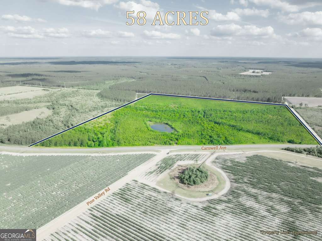 unimproved land for sale at 0 Carswell Avenue, Waycross, GA 31503 — photo 2