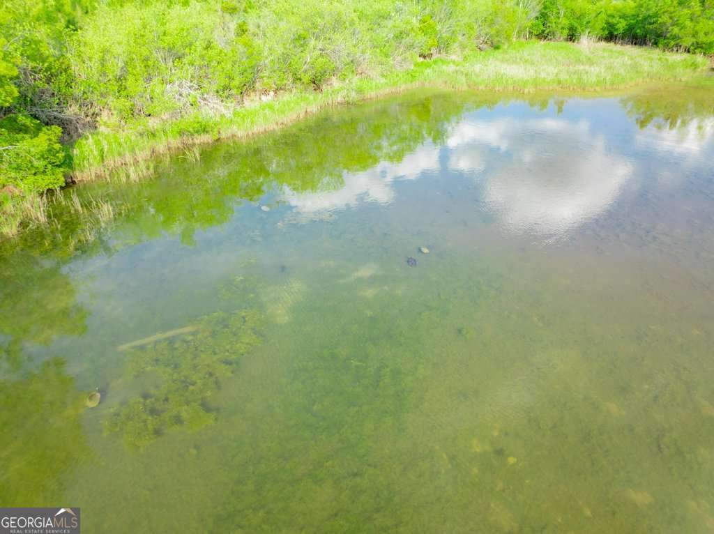 unimproved land for sale at 0 Carswell Avenue, Waycross, GA 31503 — photo 7