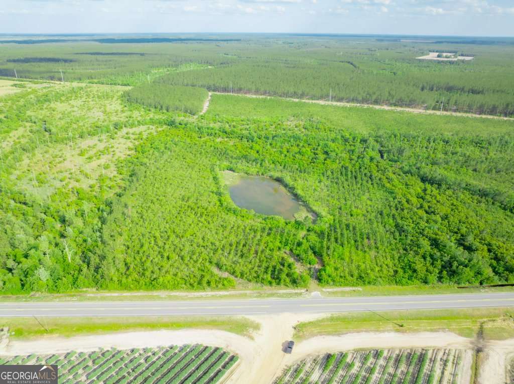 unimproved land for sale at 0 Carswell Avenue, Waycross, GA 31503 — photo 3
