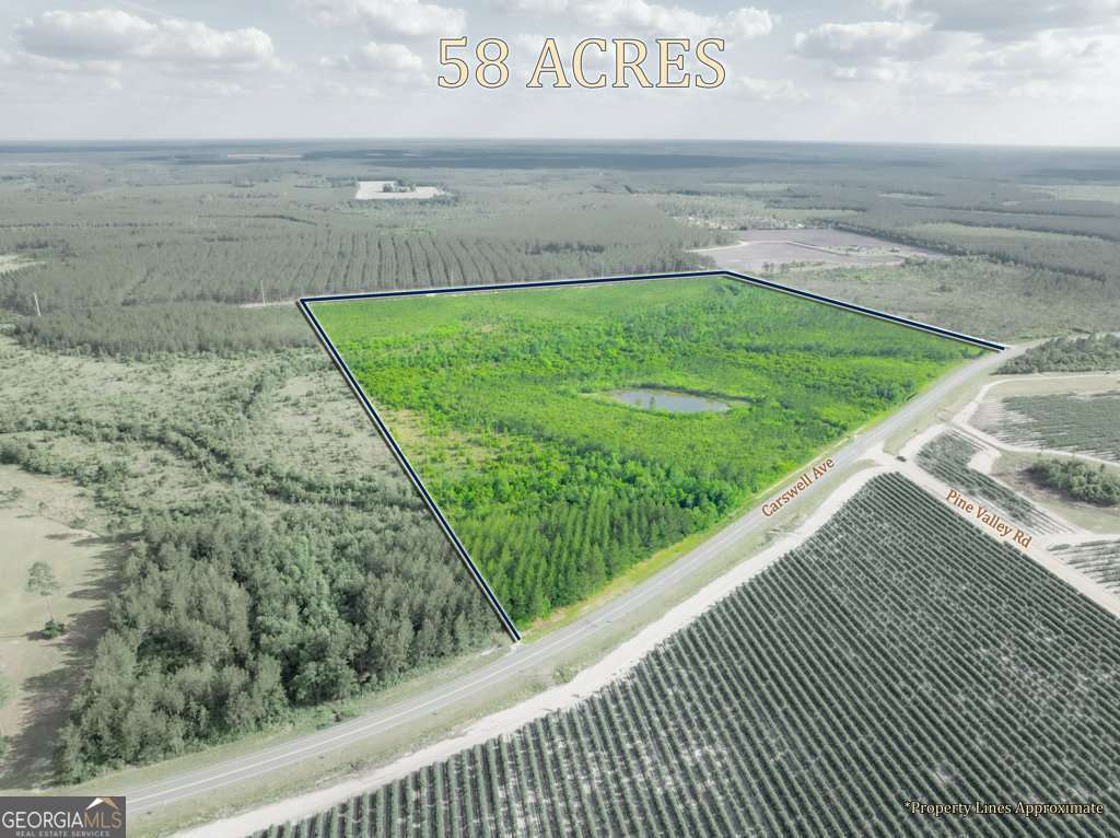 unimproved land for sale at 0 Carswell Avenue, Waycross, GA 31503