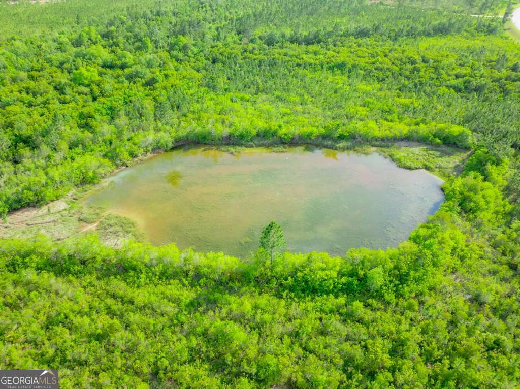unimproved land for sale at 0 Carswell Avenue, Waycross, GA 31503 — photo 5