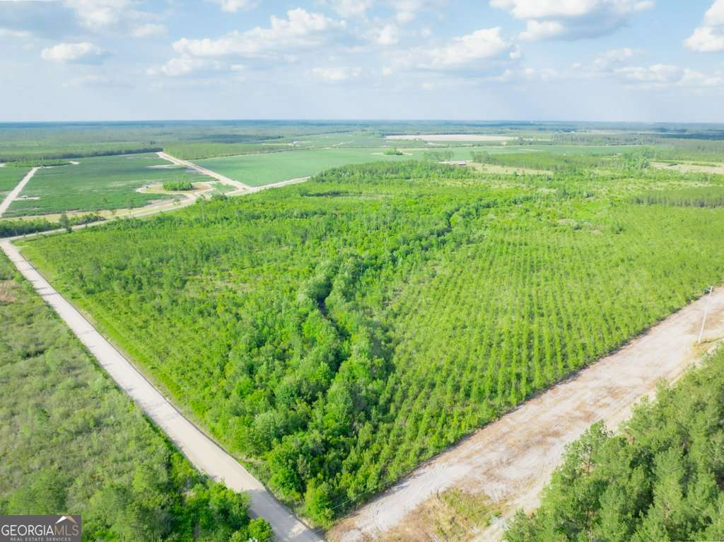 unimproved land for sale at 0 Carswell Avenue, Waycross, GA 31503 — photo 9