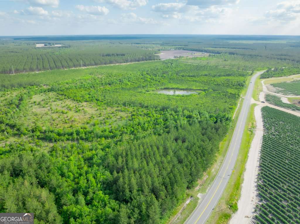 unimproved land for sale at 0 Carswell Avenue, Waycross, GA 31503 — photo 10
