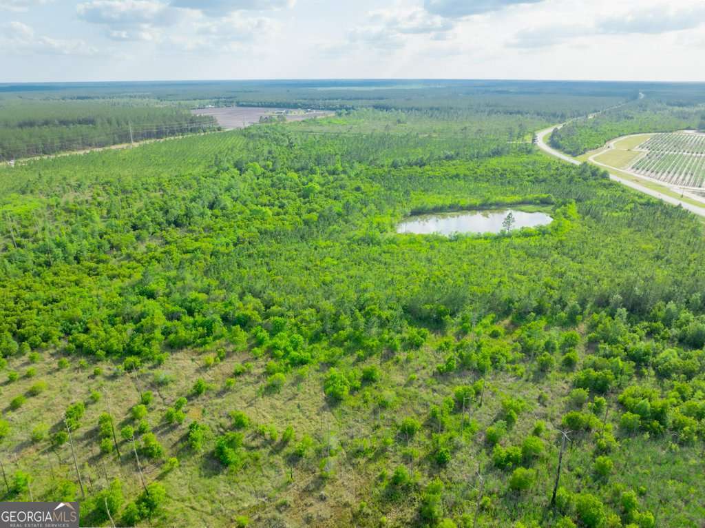 unimproved land for sale at 0 Carswell Avenue, Waycross, GA 31503 — photo 4