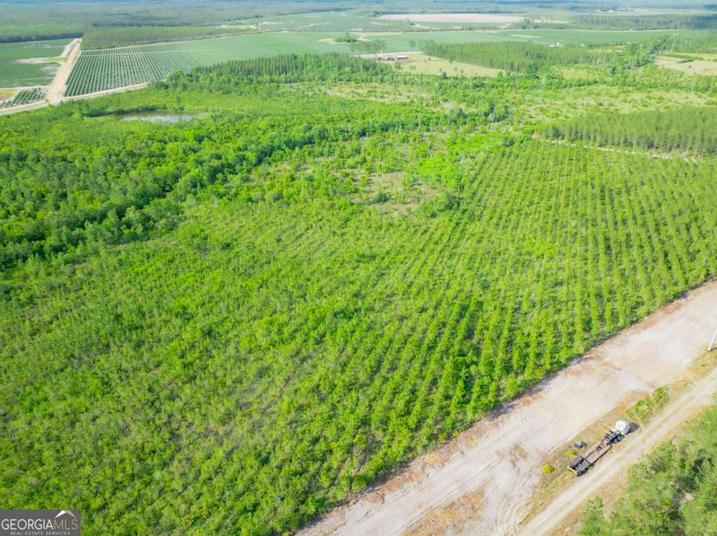 unimproved land for sale at 0 Carswell Avenue, Waycross, GA 31503 — photo 8