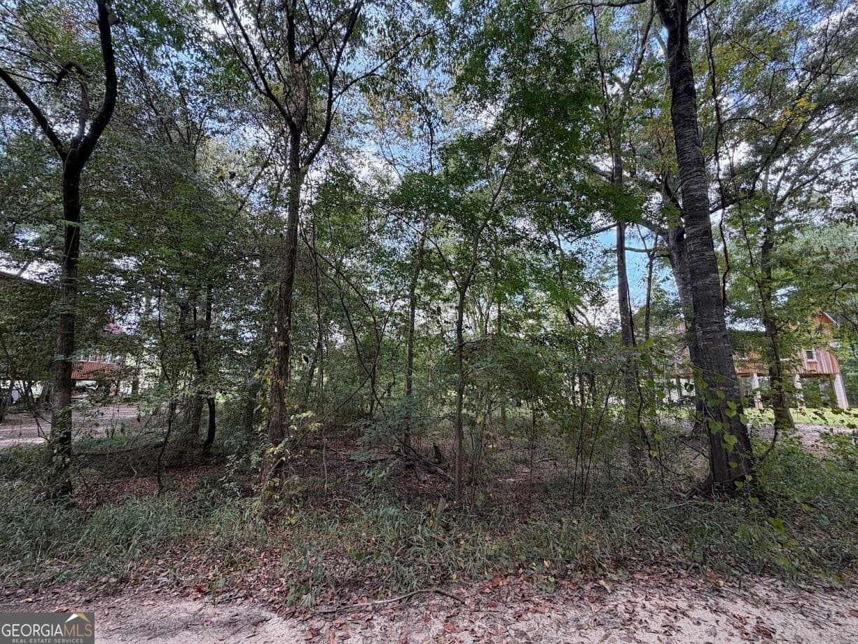 residential lot for sale at 761 Addie's Alley, Jesup, GA 31545 — photo 2