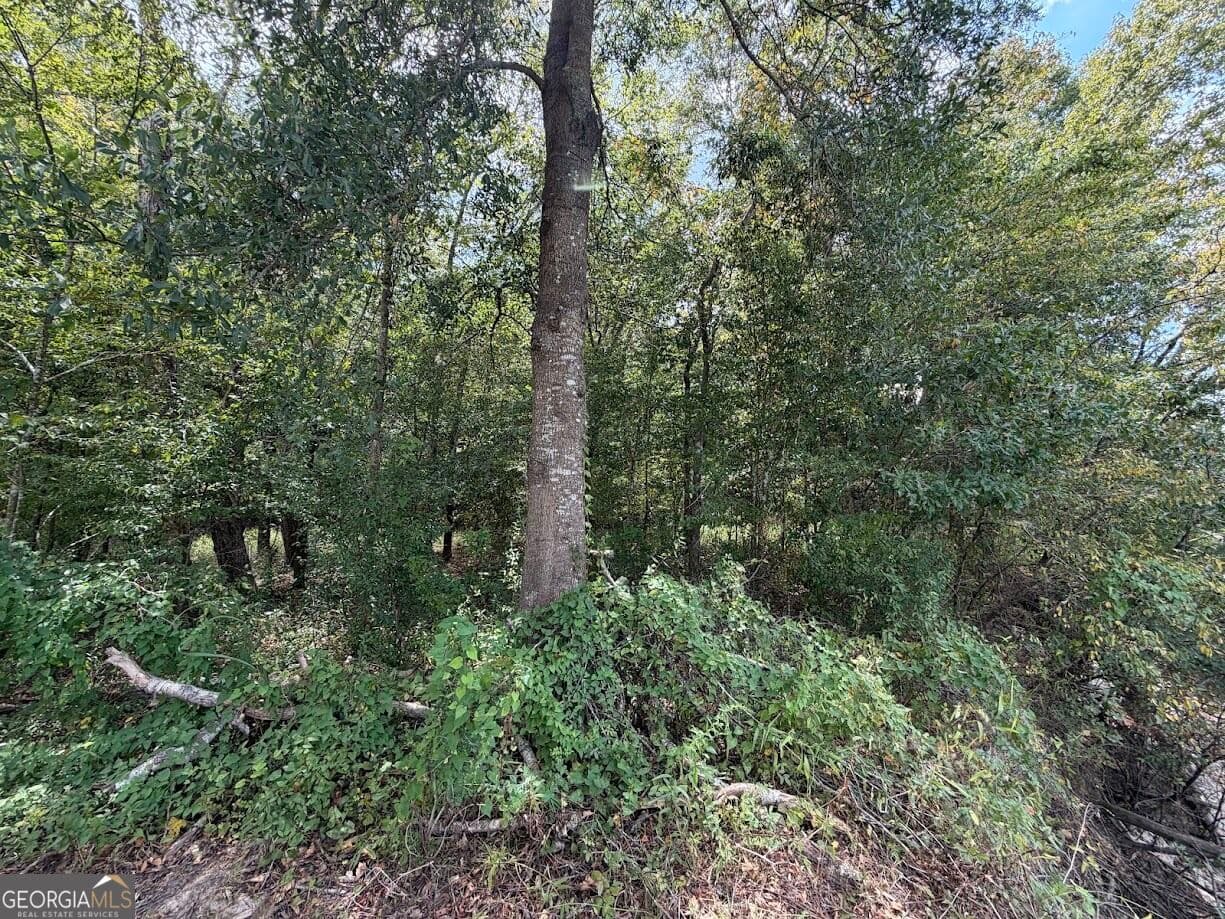 residential lot for sale at 761 Addie's Alley, Jesup, GA 31545 — photo 6