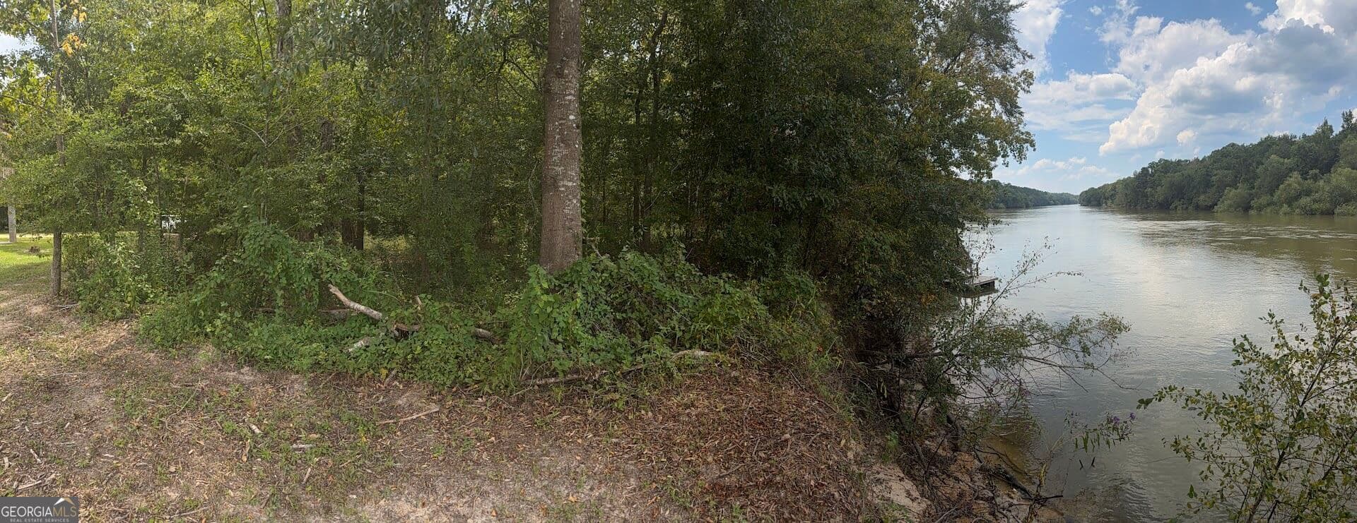 residential lot for sale at 761 Addie's Alley, Jesup, GA 31545 — photo 7