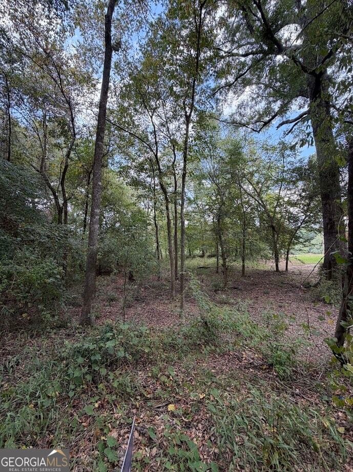 residential lot for sale at 761 Addie's Alley, Jesup, GA 31545 — photo 3