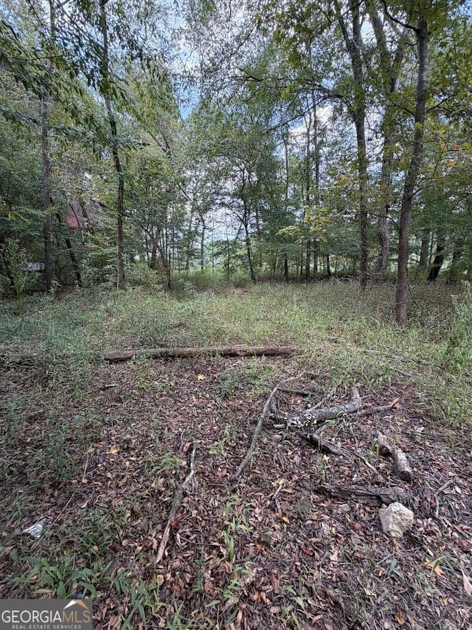 residential lot for sale at 761 Addie's Alley, Jesup, GA 31545 — photo 5