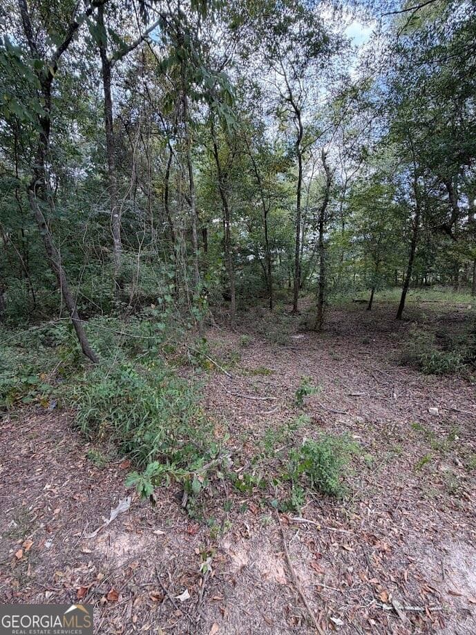 residential lot for sale at 761 Addie's Alley, Jesup, GA 31545 — photo 9