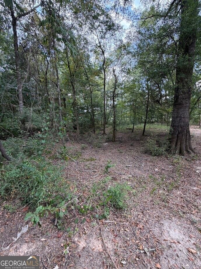 residential lot for sale at 761 Addie's Alley, Jesup, GA 31545 — photo 10