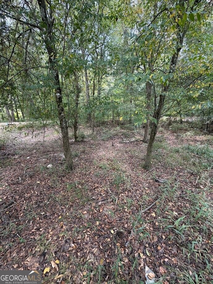 residential lot for sale at 761 Addie's Alley, Jesup, GA 31545 — photo 4