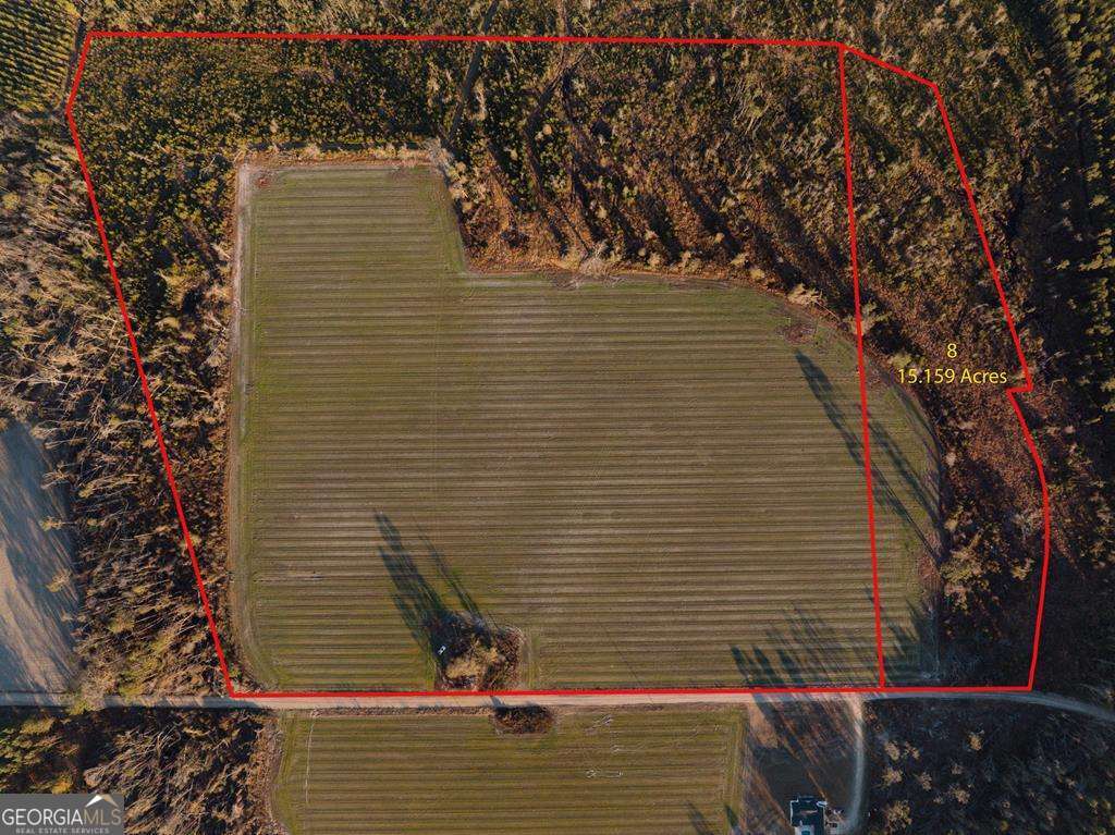 agriculture sold at 0 Chesapeake Road (LOT 8), Alma, GA 31510