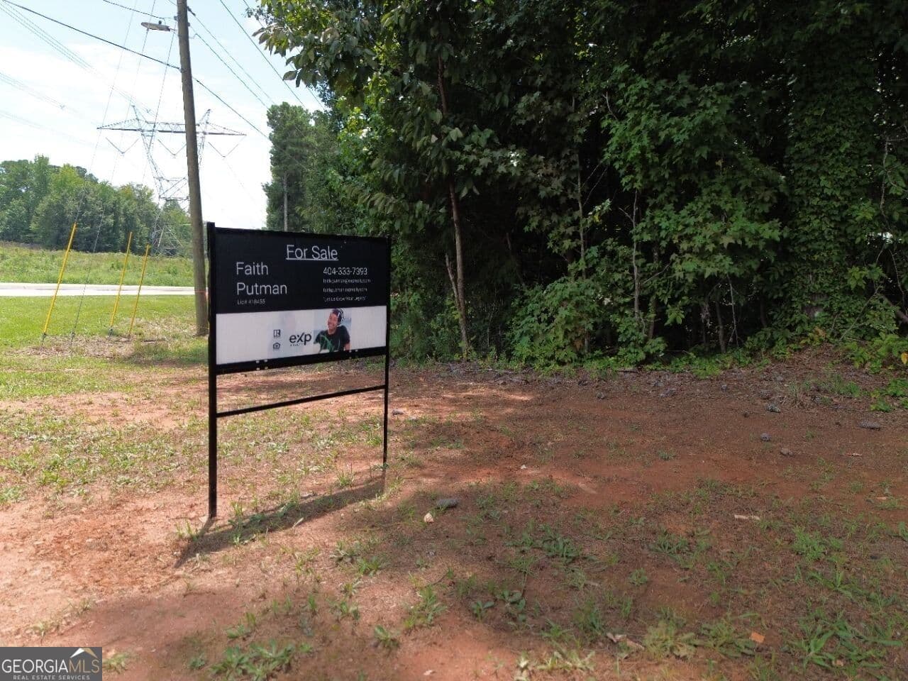 commercial for sale at 0 Highway 42, Stockbridge, GA 30281 — photo 3