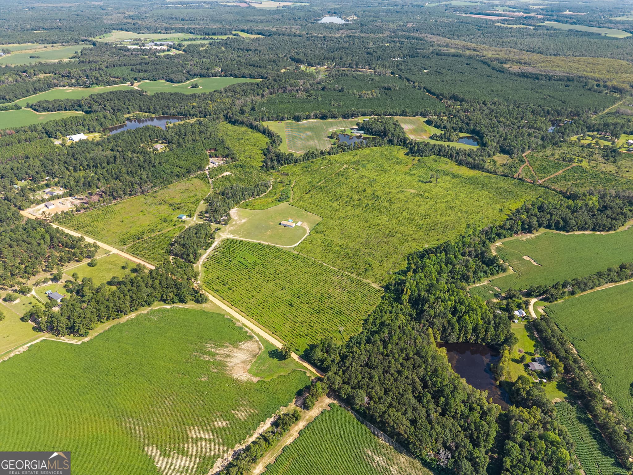 agriculture for sale at 1802 Moore Road, Register, GA 30452 — photo 2
