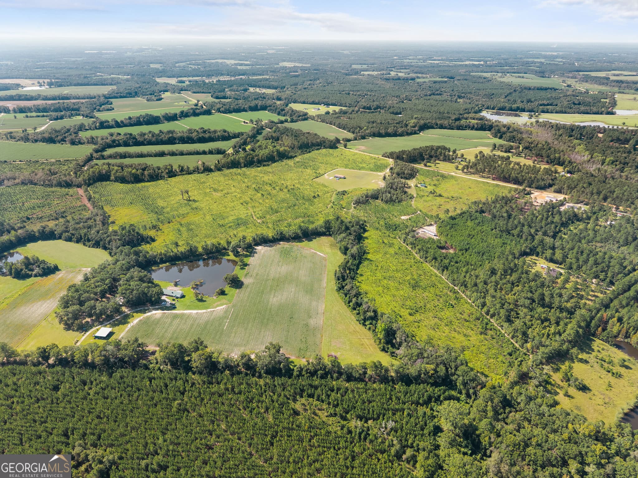 agriculture for sale at 1802 Moore Road, Register, GA 30452 — photo 6