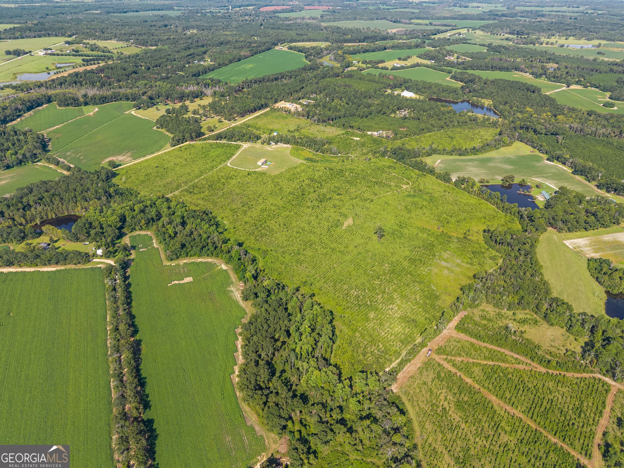agriculture for sale at 1802 Moore Road, Register, GA 30452 — photo 7
