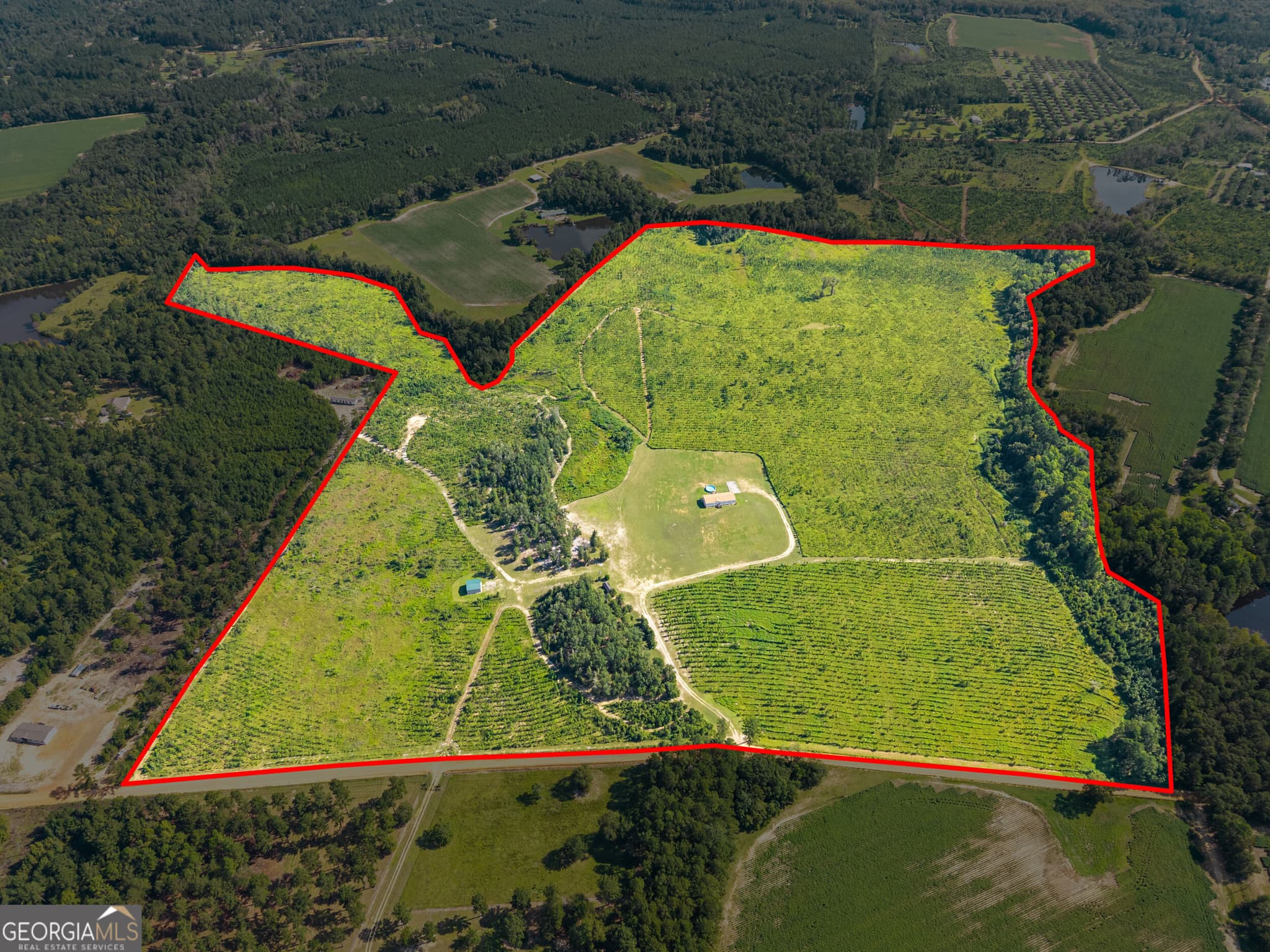 agriculture for sale at 1802 Moore Road, Register, GA 30452 — photo 3