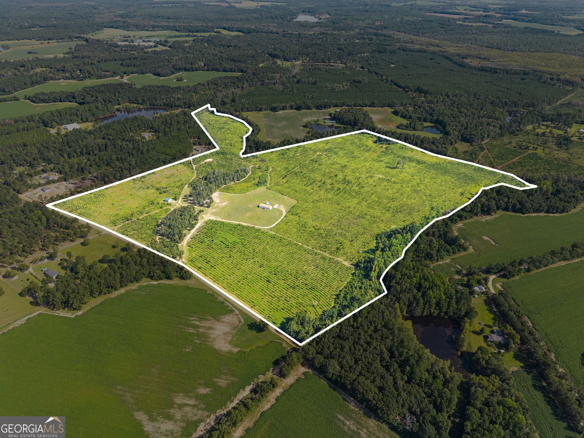 agriculture for sale at 1802 Moore Road, Register, GA 30452