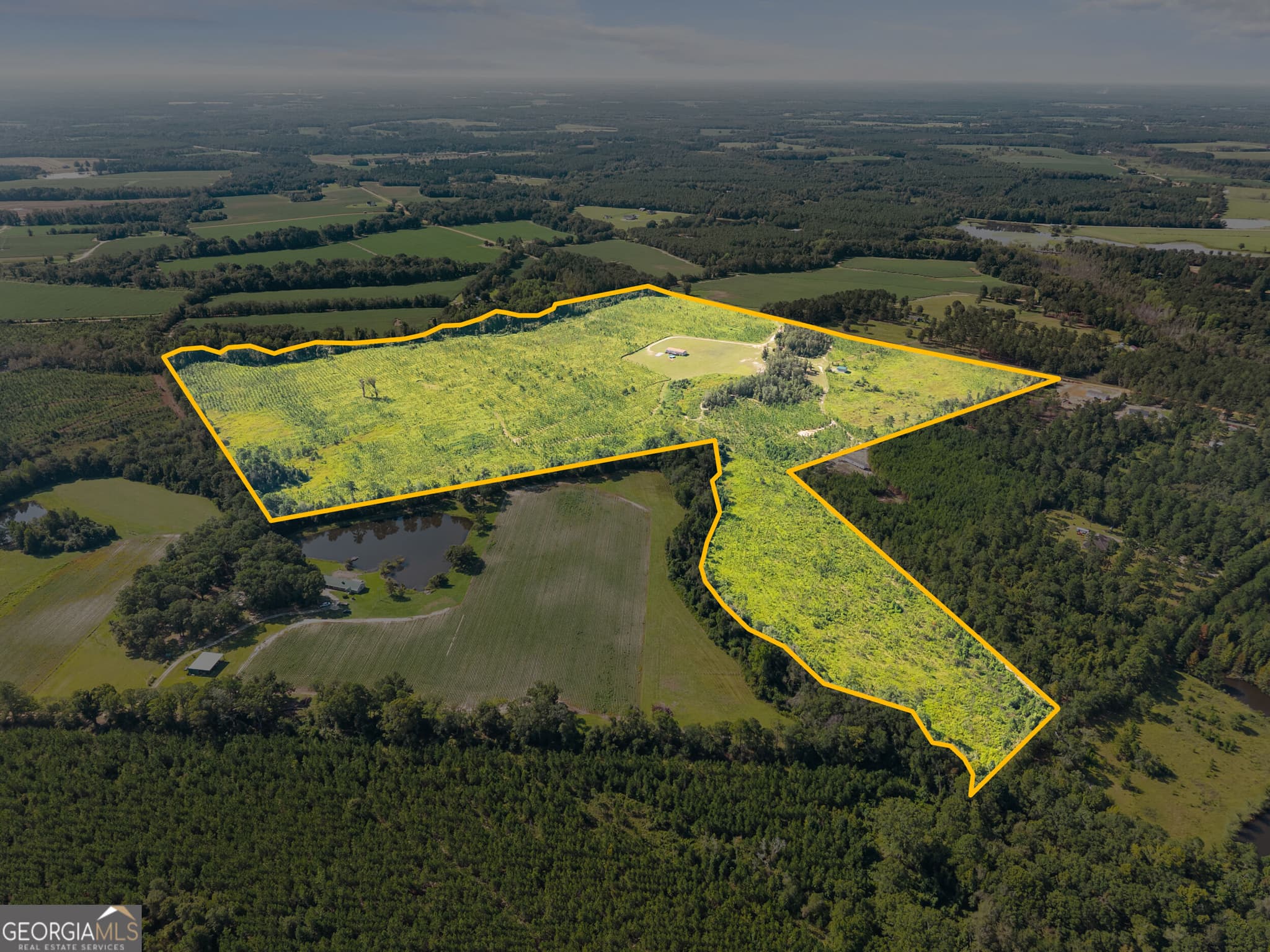 agriculture for sale at 1802 Moore Road, Register, GA 30452 — photo 5