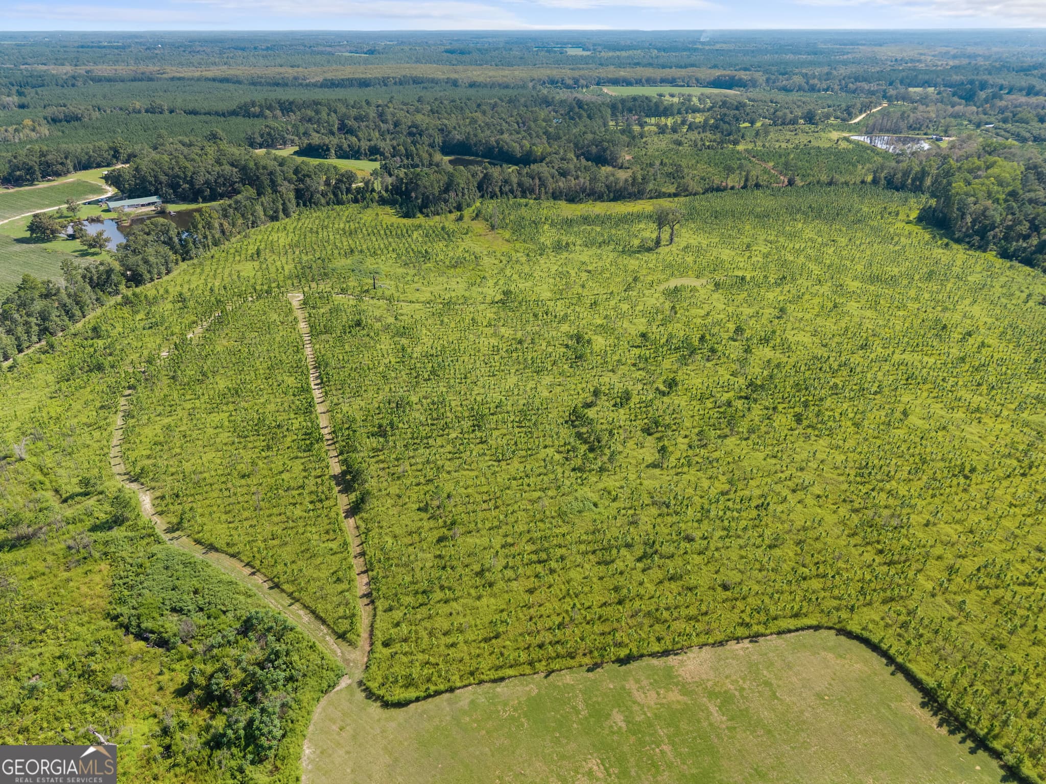 agriculture for sale at 1802 Moore Road, Register, GA 30452 — photo 9
