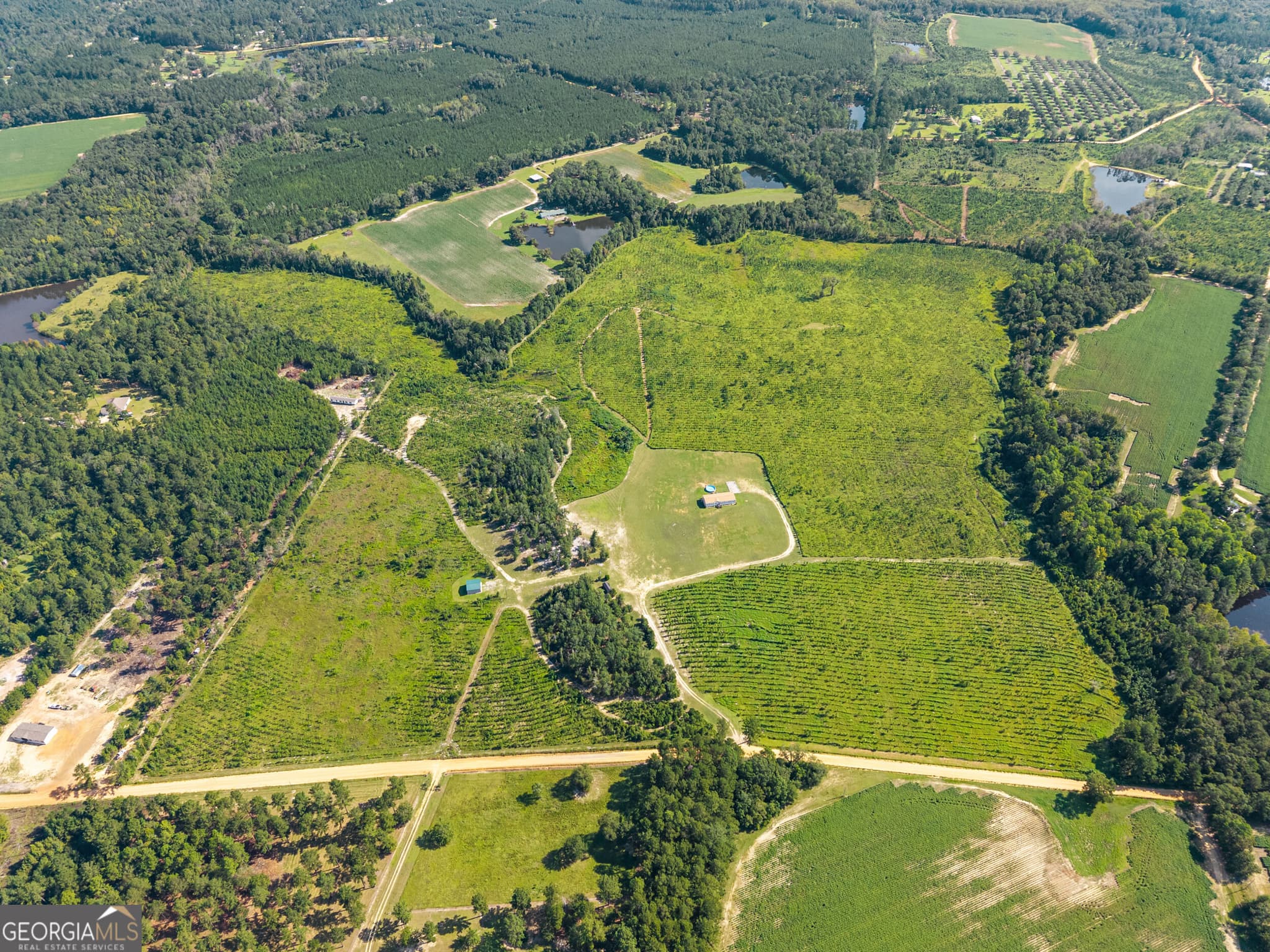 agriculture for sale at 1802 Moore Road, Register, GA 30452 — photo 4