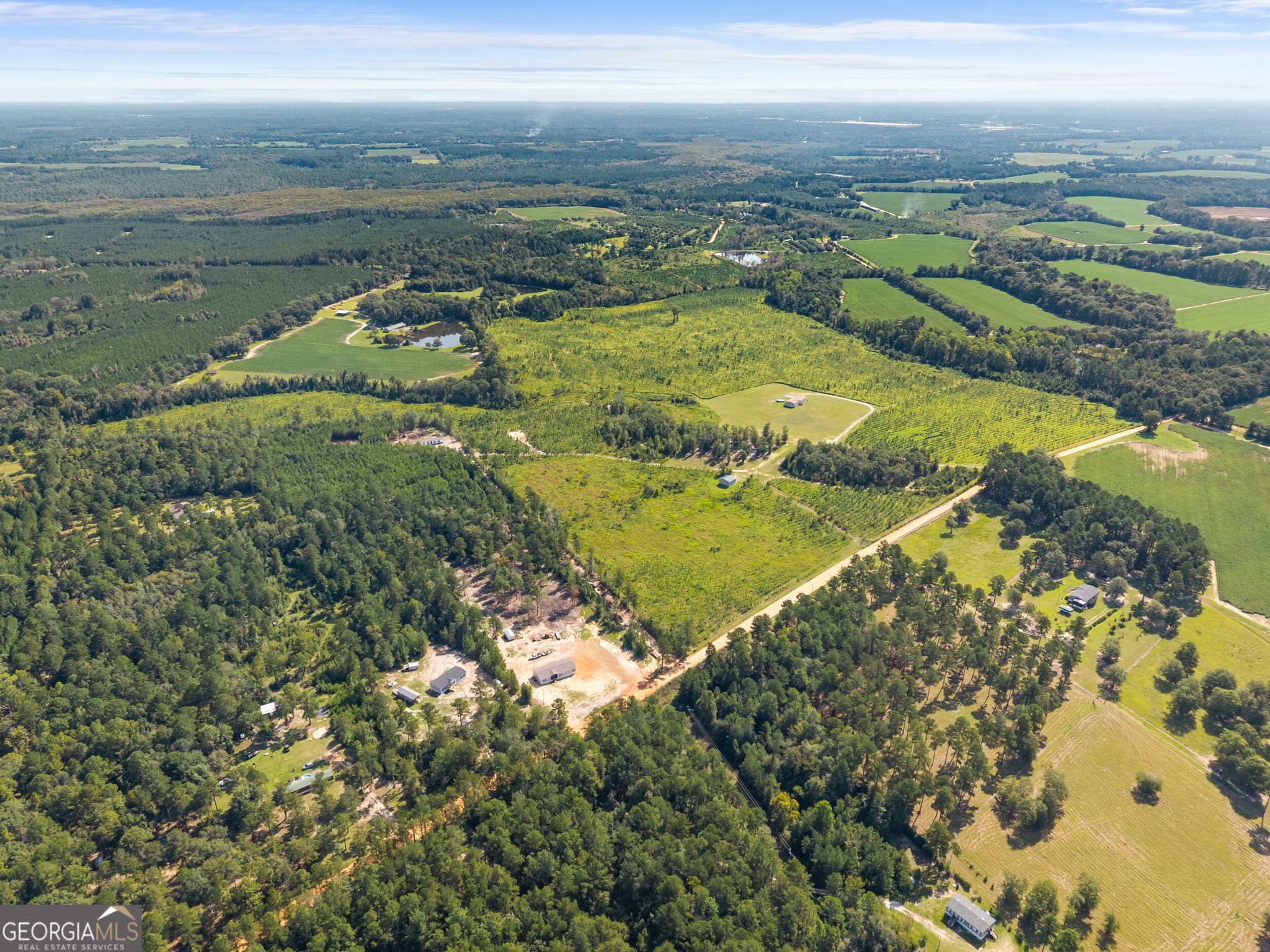 agriculture for sale at 1802 Moore Road, Register, GA 30452 — photo 8