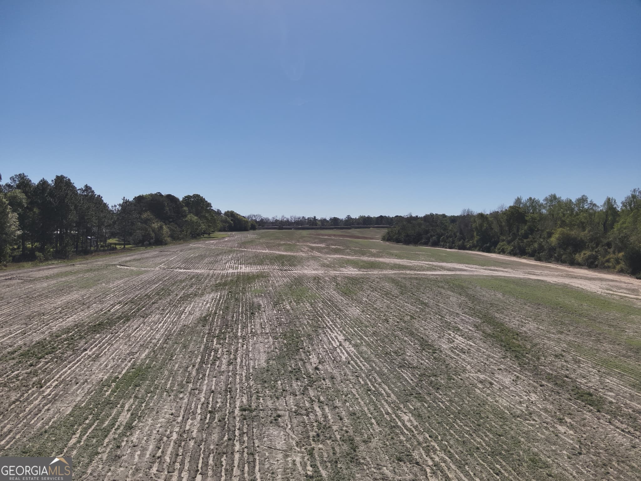 unimproved land for sale at 0 Old Pelham Road, Pelham, GA 31779 — photo 3