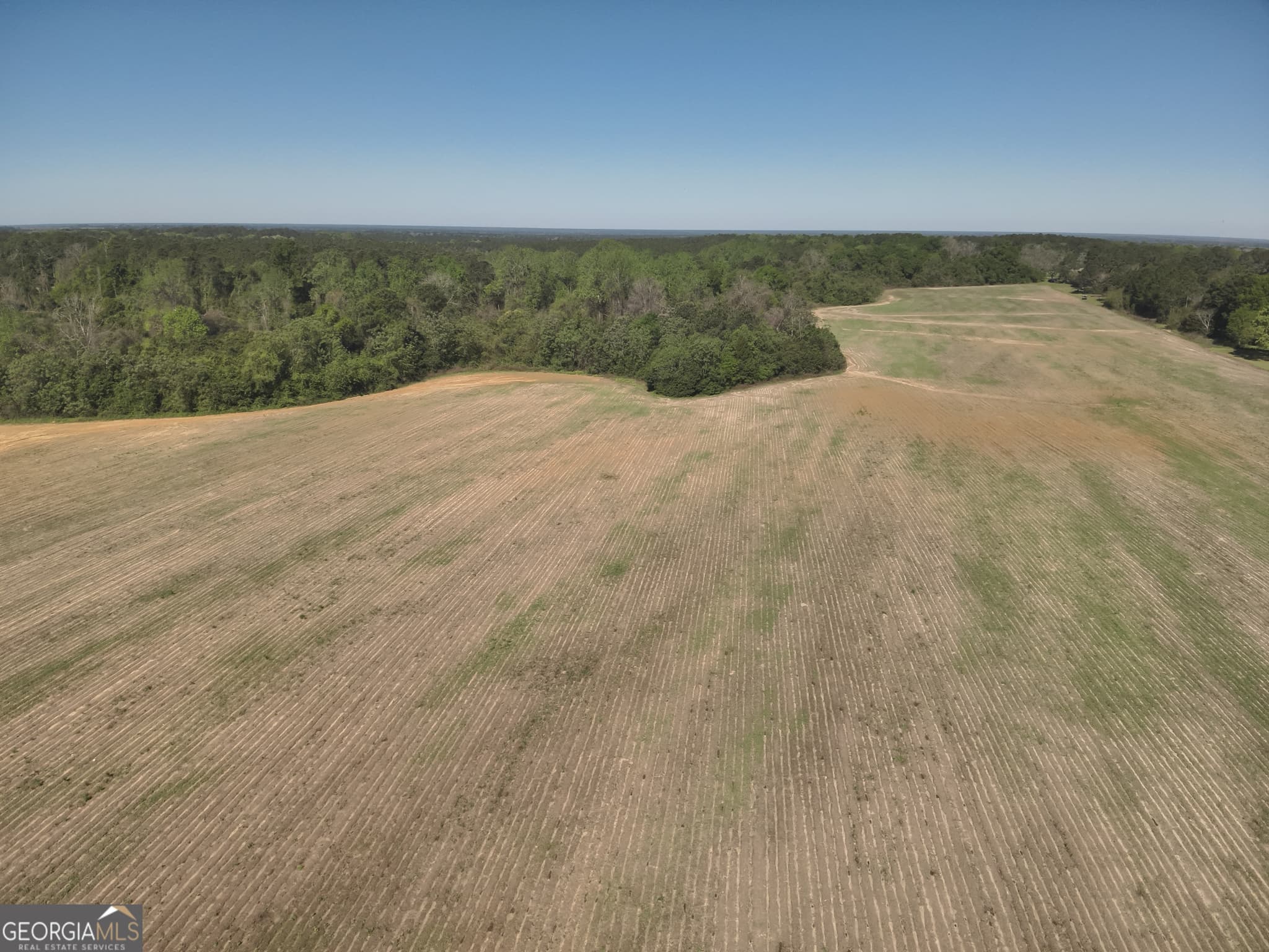 unimproved land for sale at 0 Old Pelham Road, Pelham, GA 31779 — photo 5