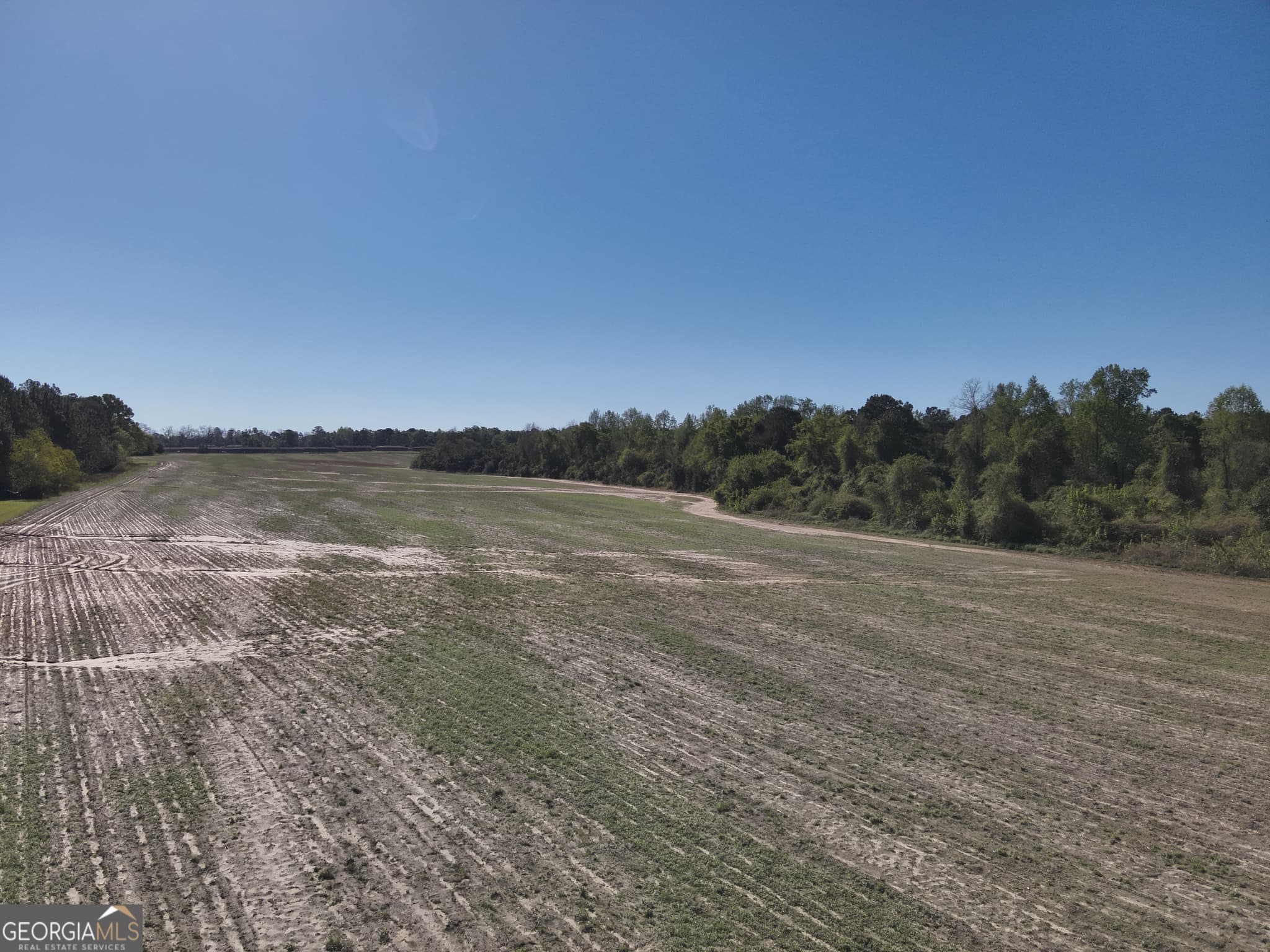 unimproved land for sale at 0 Old Pelham Road, Pelham, GA 31779 — photo 10