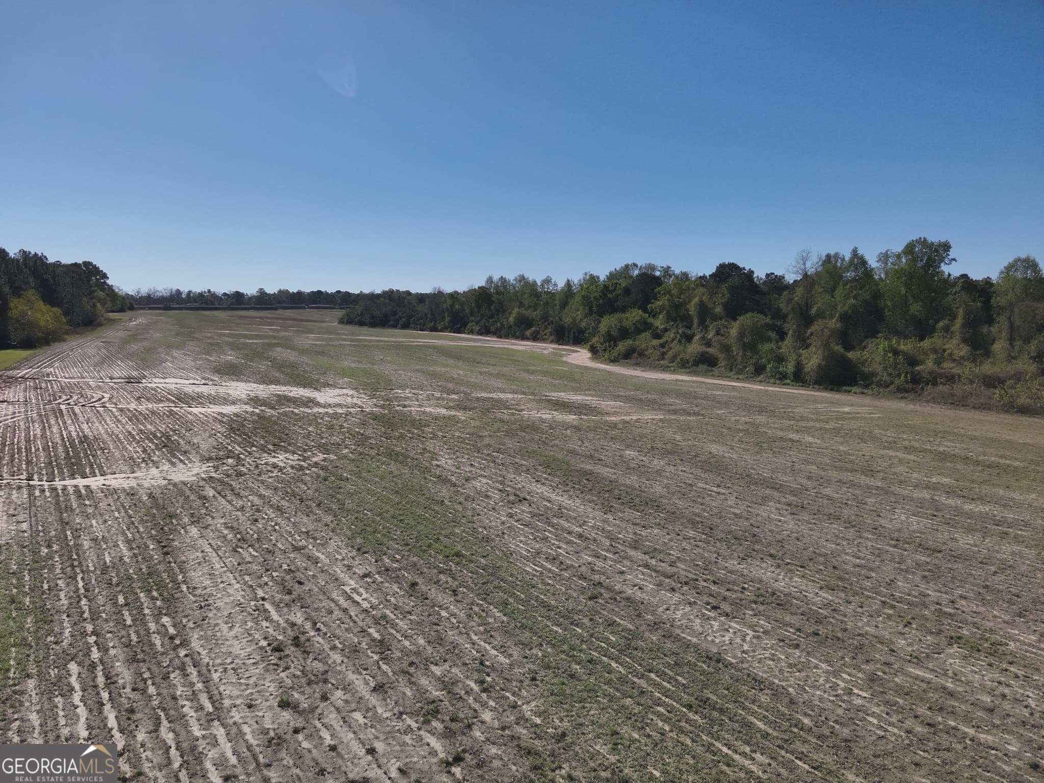 unimproved land for sale at 0 Old Pelham Road, Pelham, GA 31779 — photo 4