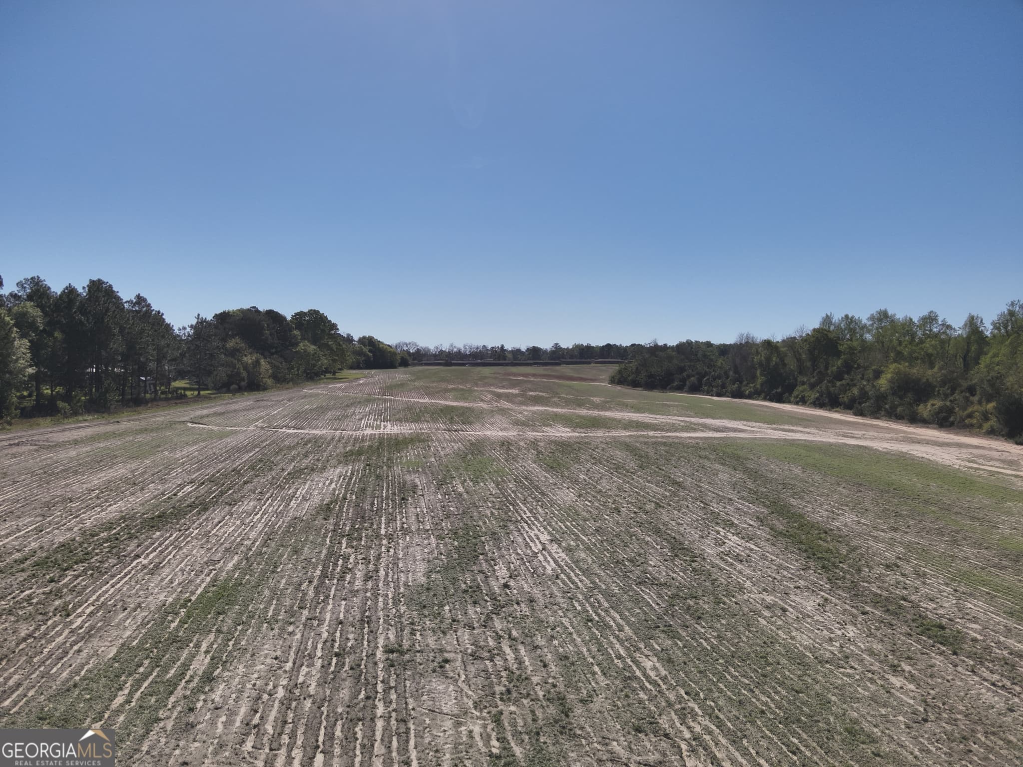 unimproved land for sale at 0 Old Pelham Road, Pelham, GA 31779 — photo 8