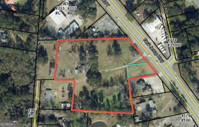 unimproved land for sale at 4711 & 4121 New Jesup Highway, Brunswick, GA 31520 — photo 1 of 1