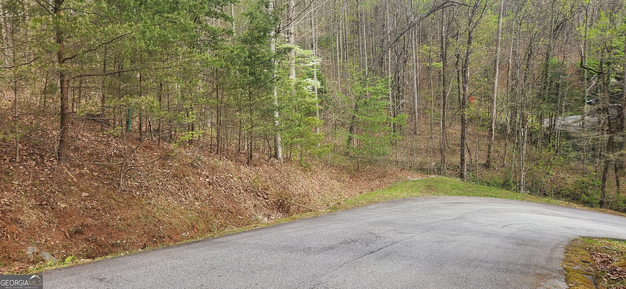 residential lot for sale at 0 (LOT 13) Yellow Trillium, Clayton, GA 30525 — photo 2