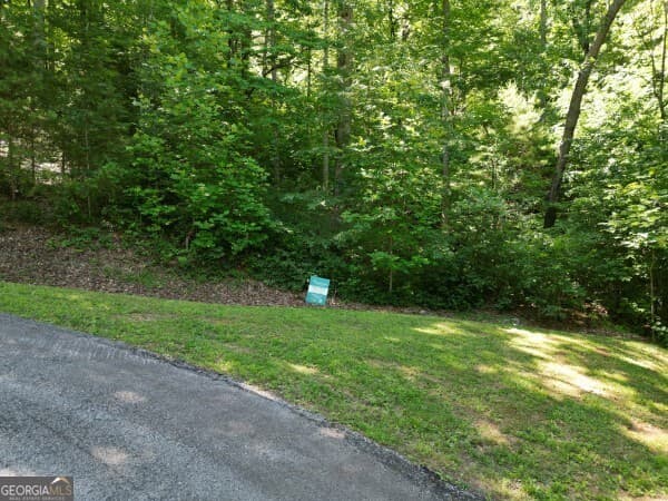residential lot for sale at 0 (LOT 13) Yellow Trillium, Clayton, GA 30525 — photo 7