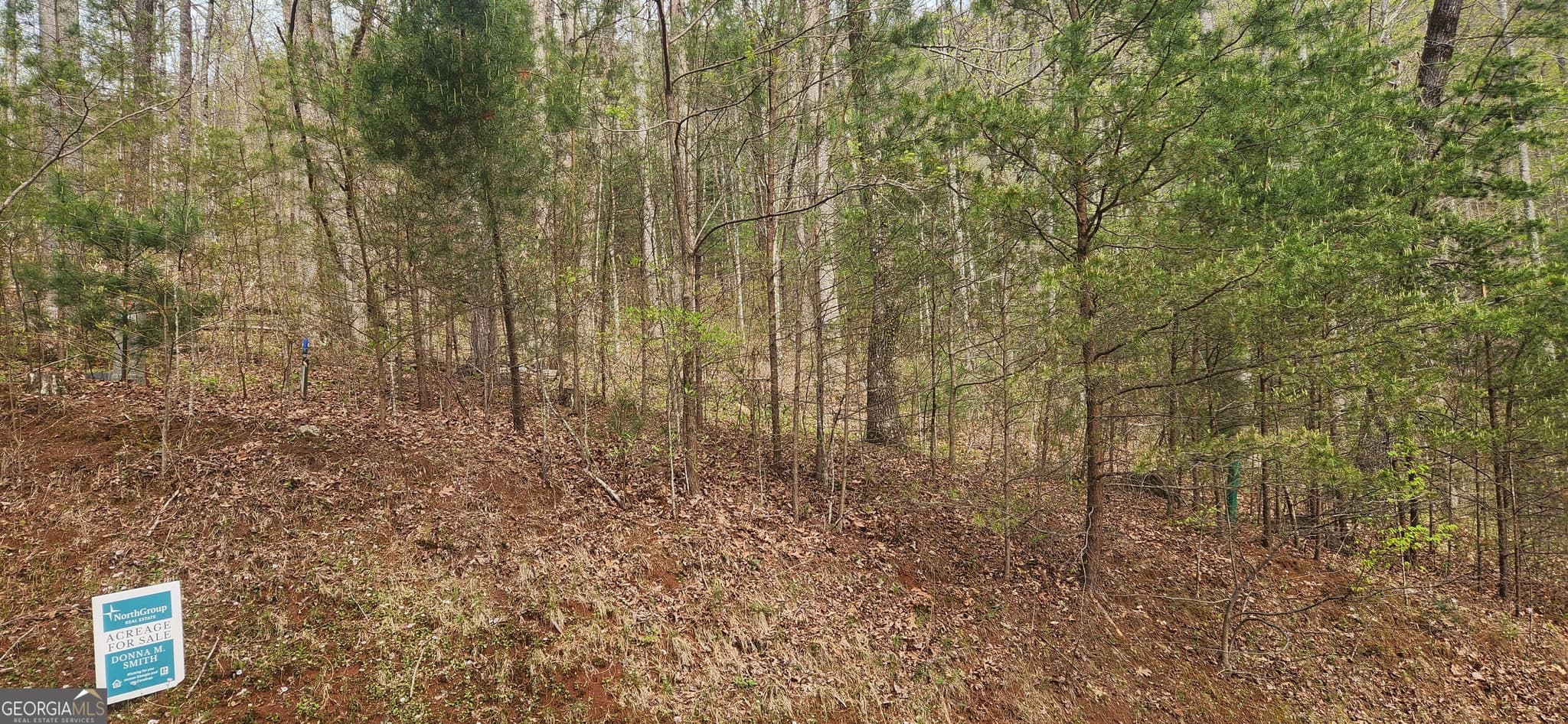 residential lot for sale at 0 (LOT 13) Yellow Trillium, Clayton, GA 30525 — photo 3