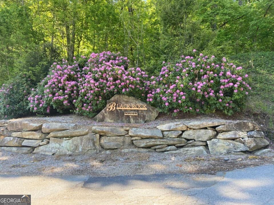 residential lot for sale at 0 (LOT 13) Yellow Trillium, Clayton, GA 30525 — photo 5