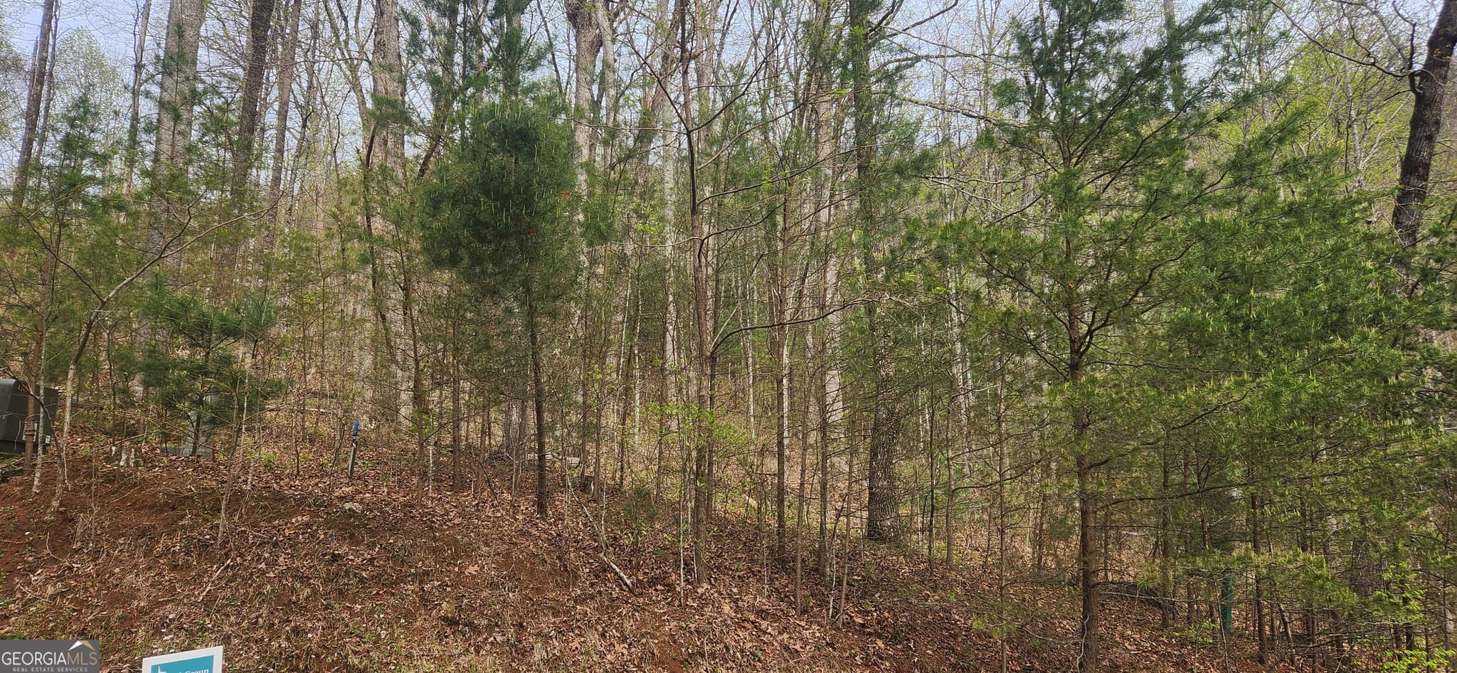 residential lot for sale at 0 (LOT 13) Yellow Trillium, Clayton, GA 30525 — photo 4