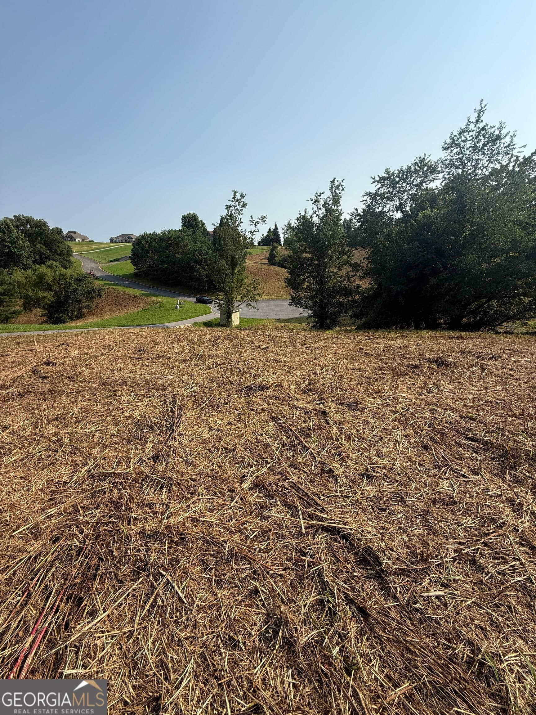 residential lot for sale at 0 Ridgemont Lane, Ellijay, GA 30536 — photo 2