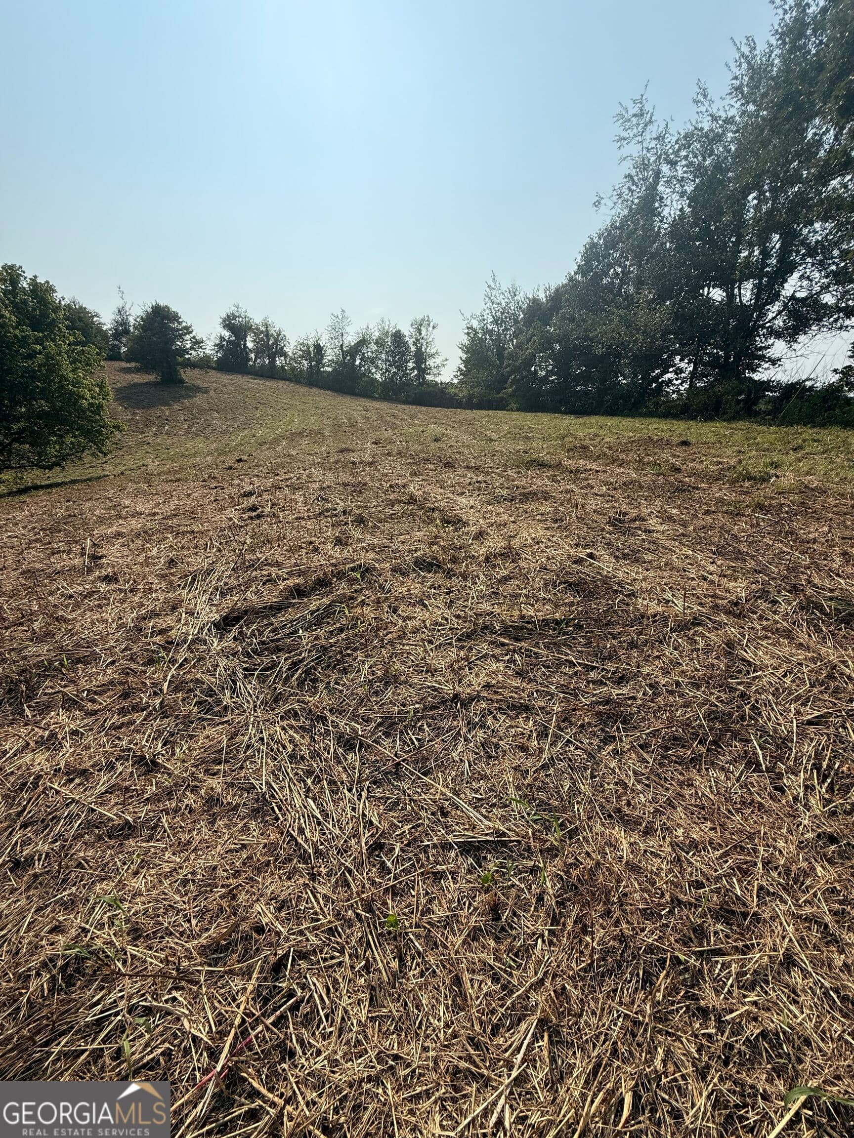 residential lot for sale at 0 Ridgemont Lane, Ellijay, GA 30536 — photo 3