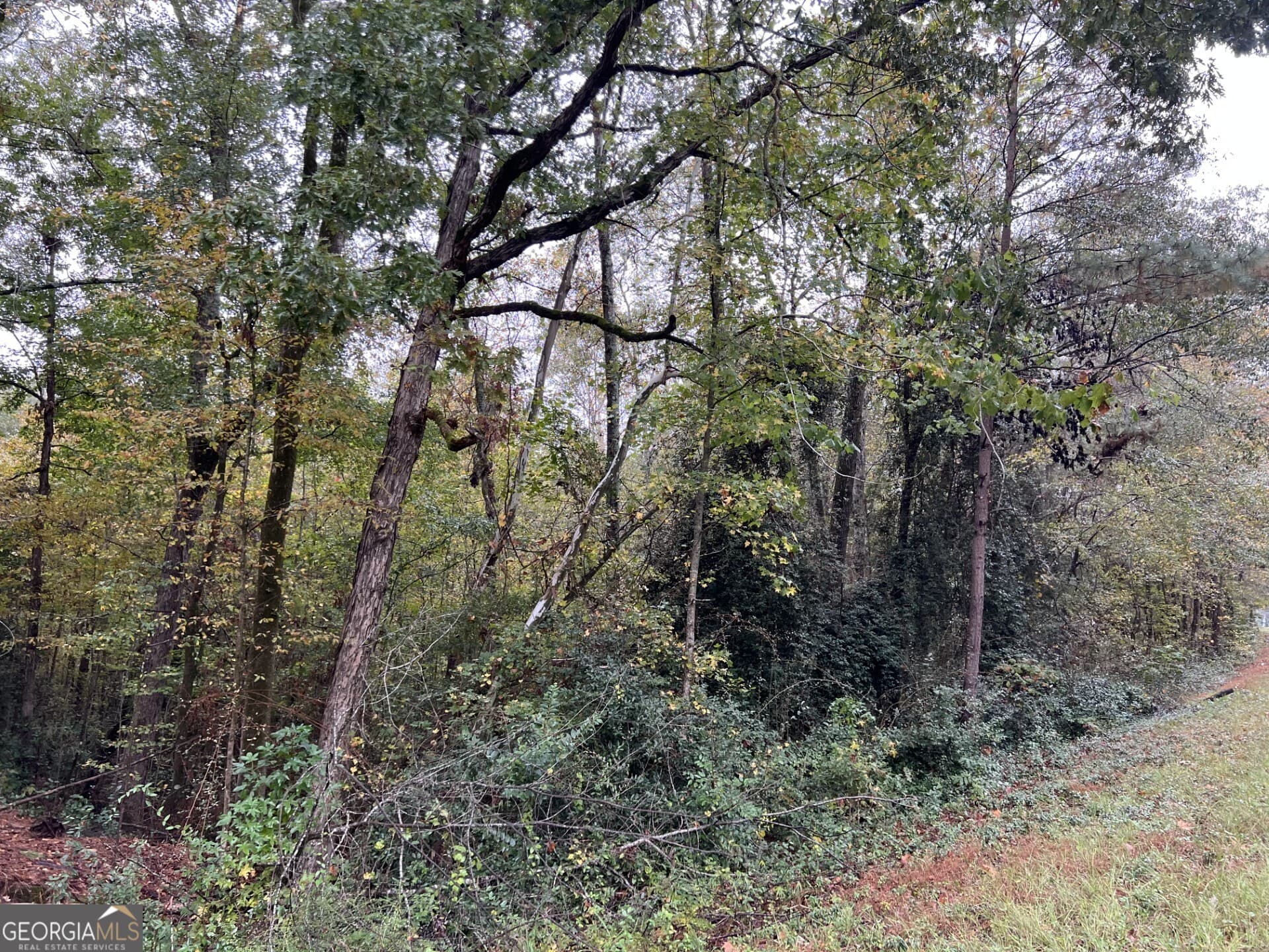 residential lot for sale at 146 Lite N Tie Road, Gray, GA 31032 — photo 2