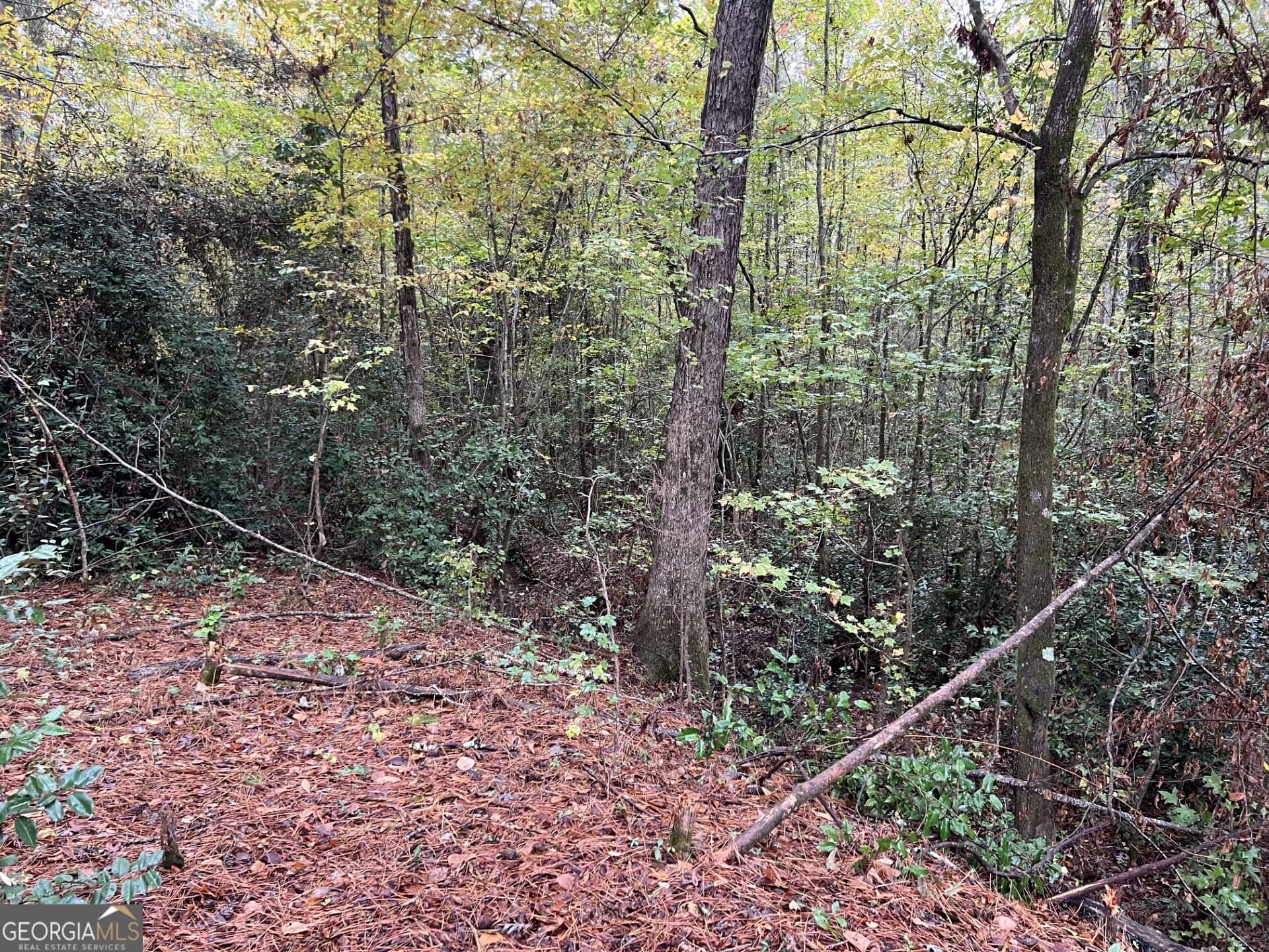residential lot for sale at 146 Lite N Tie Road, Gray, GA 31032